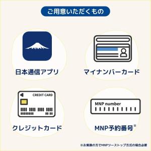 日本通信SIM スターターパック 申込有効期限...の詳細画像2
