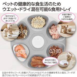 自動給餌器 ウェットフード 猫 犬 タイマー ...の詳細画像1