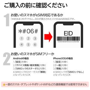 日本eSIM 500MB/1日 1日間 4キャ...の詳細画像4