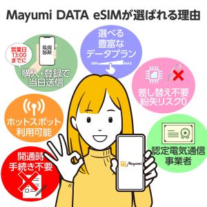 日本eSIM 500MB/1日 1日間 4キャ...の詳細画像5