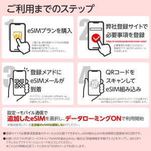 日本eSIM 1GB/1日 1日間 ソフトバン...の詳細画像2