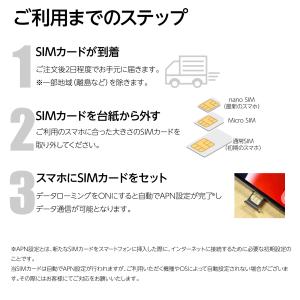 日本国内用 4キャリア対応 プリペイドSIMカ...の詳細画像5