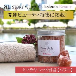 入浴剤 バスソルト レッド 500g 岩塩 ヒマラヤ岩塩 入浴剤  高級 入浴剤 おしゃれ 温泉 無添加 発汗 人気 入浴剤 ギフト プレゼント 30代 40代 50代