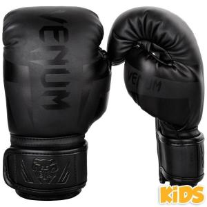 EVERLAST（エバーラスト） 【並行輸入品】 ボクシンググローブ