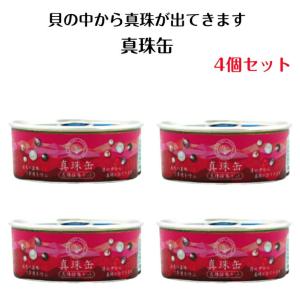 真珠　缶バッジ KAMITSUBAKI STUDIO×HELLO OSAKA】クッション缶バッジ3個セットC（派流