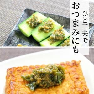 青唐がらし味噌 (500g) 業務用 お買い得...の詳細画像3