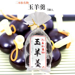 銘菓 玉羊羹（5個入）二本松 ようかん 羊羹 玉羊羹