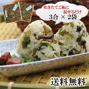 野沢菜ちりめん 2袋セット（6合分）野沢菜ご飯 のざわなちりめん