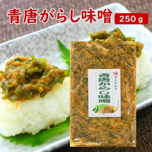 青唐がらし味噌 (250g)  ご飯のお供 お酒のおつまみ 青唐辛子味噌 馬場音一商店｜まざっせこらっせ Yahoo!店