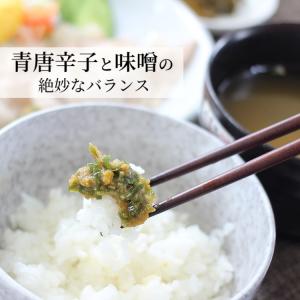 青唐がらし味噌 (230g)2袋セット ご飯の...の詳細画像1