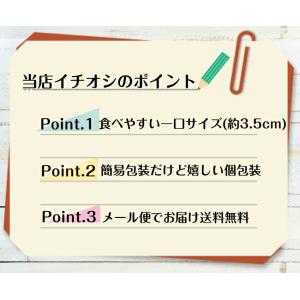 訳あり ゆべし(12個入)アウトレット お徳用...の詳細画像2
