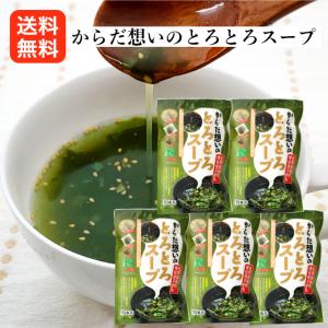 からだ想いのとろとろスープ入） 5袋セット とろみたっぷり 和風仕立てスープ