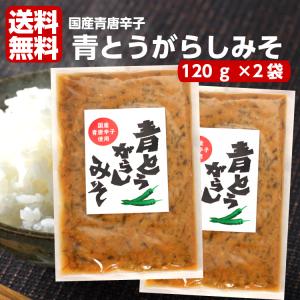 1000円ポッキリ 青とうがらしみそ2袋セット 青唐がらし おばねや 青唐がらし味噌 青唐辛子味噌 国産青唐辛子 青唐辛子 からしみそ ご飯のお供