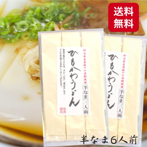 1000円ポッキリ 送料無料 ひもかわうどん（300ｇ）2袋セット ひもかわ うどん 半生うどん 幅...