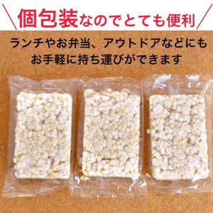 玄米トースト(8枚入)24袋セット 蔵王米菓 ...の詳細画像4