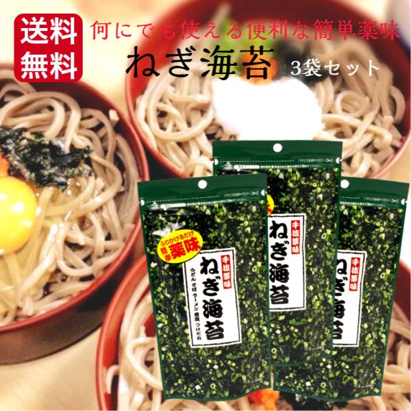 ねぎ海苔（9ｇ）3袋セット ねぎのり ねぎ のり うどん そば ラーメン 豆腐 つけだれ 薬味 簡単...