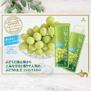 山梨シャインマスカット フルーツバー 9本セッ...の詳細画像1