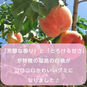 福島 白桃グミ 80g×4箱セット 桃グミ グ...の詳細画像4