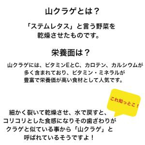 しその葉 山くらげ 2袋セット 山クラゲ 献上...の詳細画像3