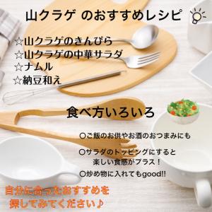 しその葉 山くらげ 2袋セット 山クラゲ 献上...の詳細画像4