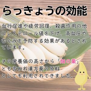 たまり らっきょう (140g) 2袋セット ...の詳細画像5