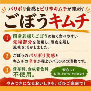 細ごぼうキムチ漬(130g)2袋セット ごぼう...の詳細画像1