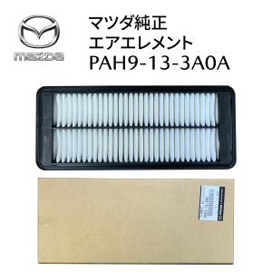 mazcraft_hs-repair-pees133a0