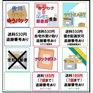 【日本製】白十字サージカルマスク ホワイト ゴ...の詳細画像4