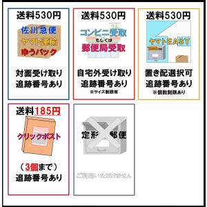 白十字 ハクジウ綿棒 2号 100本入 Cの詳細画像2