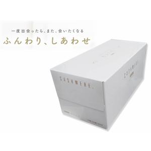 スコッティ カシミヤ 220組の商品画像