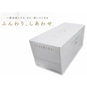 スコッティ　カシミヤ　220組