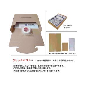 【バラ販売】ニチバン スキナゲートスパット S...の詳細画像4