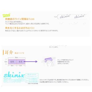 skinix ココロール NO.50 (肌スト...の詳細画像1