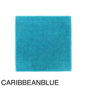 ヒポポタマス HIPPOPOTAMUS オーガ...の詳細画像4