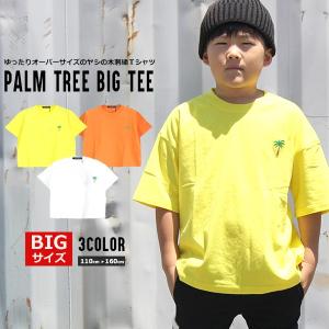 子供服 キッズ ｔシャツ Bigサイズ ヤシの木刺繍 ｔシャツ オーバーサイズ ルーズ ゆったり 半袖 天竺 はん袖 男の子 女の子 ジュニア 韓国こども服 Shisky 330 02 Mb2 通販 Yahoo ショッピング