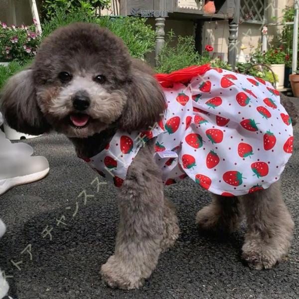 犬の服 犬服 小型犬 服 春夏 女の子 ワンピース ペット服 スカート 薄手 夏用 通気 涼しい 柔...