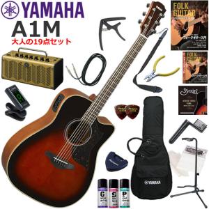 YAMAHA（ヤマハ） A1M/VN エレアコ 初心者セット レトロなデザインで多