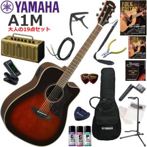 YAMAHA ヤマハ A1M/TBS エレアコ 初心者セット レトロなデザインで多