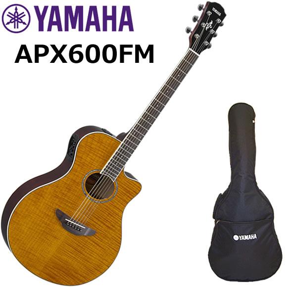 YAMAHA ヤマハ　APX600FM/AM エレアコ