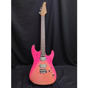 Soloking guitar MS-1 Custom 24 HH