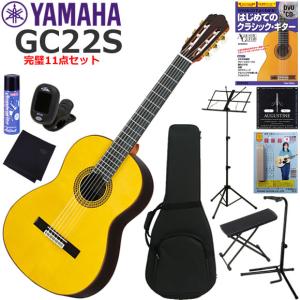 アコースティックギター 初心者 セット 台数限定 Epiphone AJ-100/VS