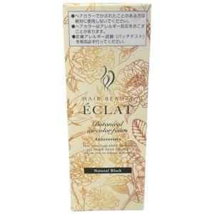フューチャーラボ ヘアボーテ エクラ ボタニカル エアカラーフォーム