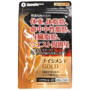 CS31 K 新日本ウェルネス ナイシメンテGOLD/9〜の商品画像
