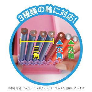 筆箱 小学校 女子 男子 おしゃれ シンプル ...の詳細画像2