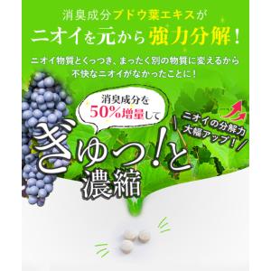 ワキガ対策 わきが 治療薬 Highness ...の詳細画像4