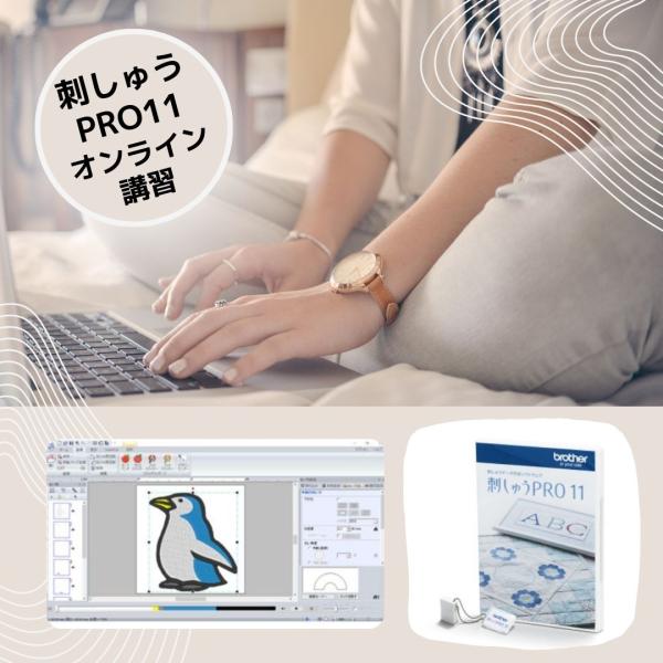 ブラザー 刺しゅうプロ 講習 ブラザー 刺しゅうプロ11 刺しゅうPRO11 オンライン講習 2時間...