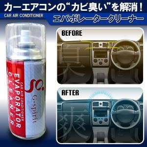 エバポレータークリーナー カーエアコン洗浄 ドライブジョイ Oem エバポ 除菌 消臭 洗浄剤 クリーナー Mclオートパーツ 通販 Paypayモール
