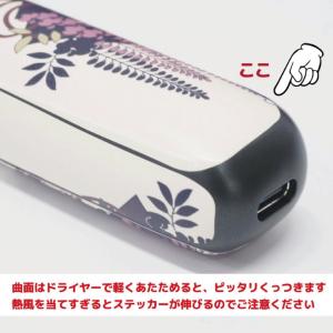 プルームオーラ カスタムスキン カスタムステッ...の詳細画像3