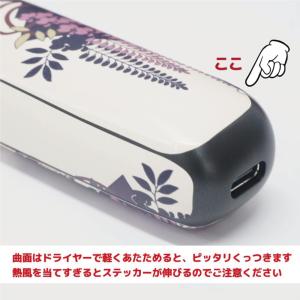 【プルームオーラ】 カスタムスキン 「カラー ...の詳細画像3