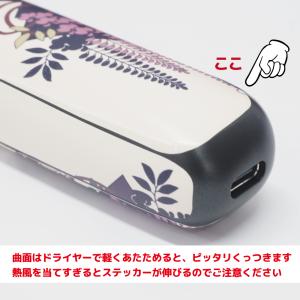 【プルームオーラ】 カスタムスキン カスタムス...の詳細画像3